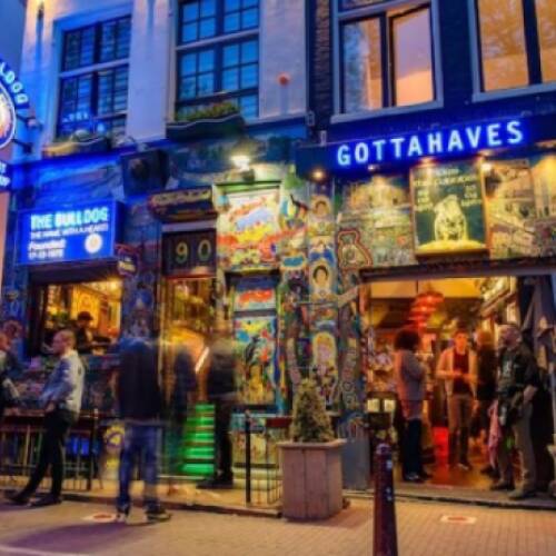 Professor Lipford Discusses Cannabis Tourism